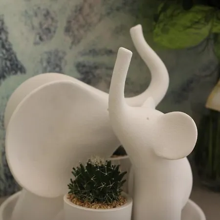 Bed & Breakfast Centro Citta Luxury 4*